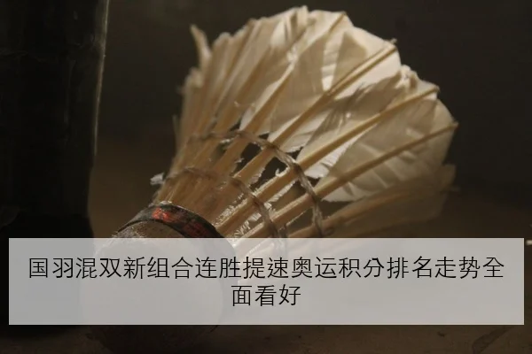 国羽混双新组合连胜提速奥运积分排名走势全面看好