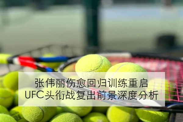 周冠宇新赛季模拟排位提速与车队升级包效果引发热议